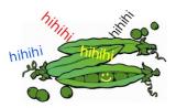 Kichererbse.jpg