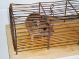 400px-2005_mousetrap_cage_3.jpg